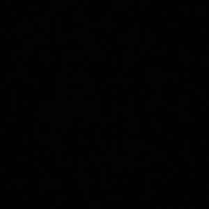 Meet your Posher, Shaun